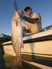 Redfish Indian River Lagoon